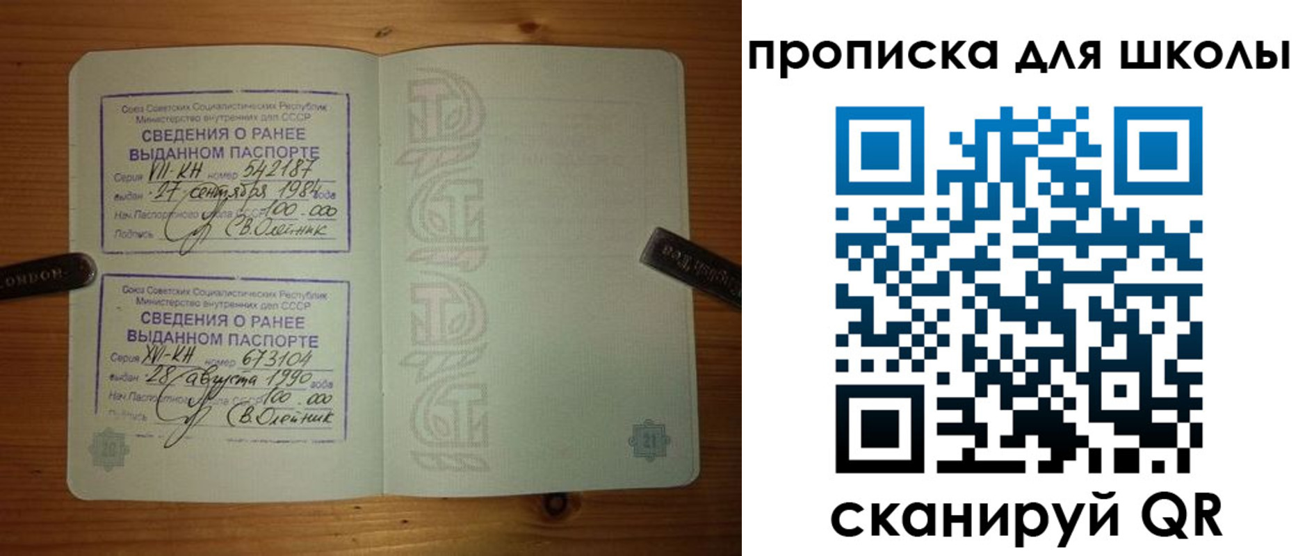 прописка для школы в Камчатской области